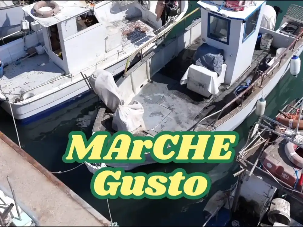 MArCHE Gusto