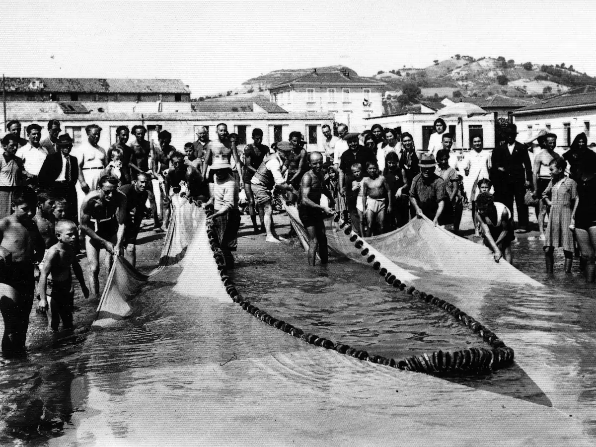 Valorizzazione delle produzioni ittiche regionali